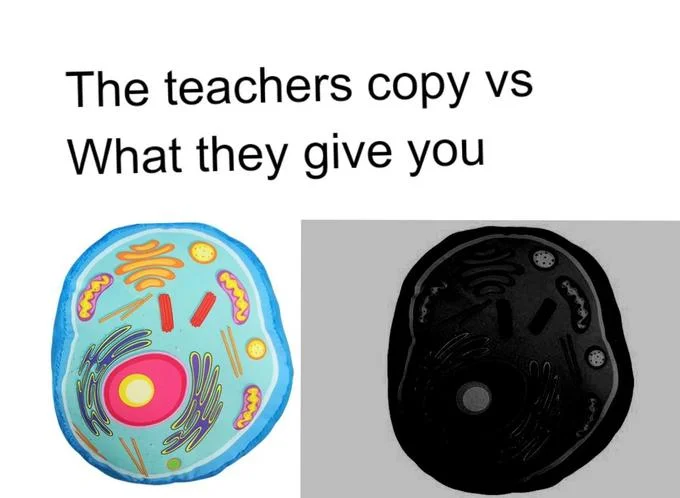 Teacher's Copy vs Student's Copy — School variation comparing detailed cell diagram to crude black silhouette.