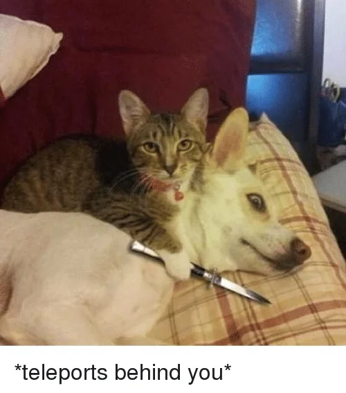 *Teleports Behind You* Nothing Personal, Kid — Weeaboo in trench coat swinging katana in living room, captioned 'You made me use 10% of my power'