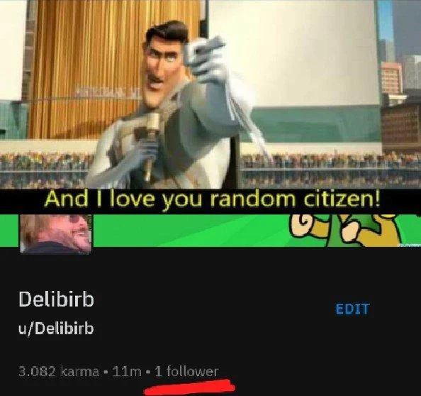 Thank You, Random Citizen — Reddit profile screenshot of user Delibirb with a single follower and Metro Man banner saying 'And I love you random citizen!'