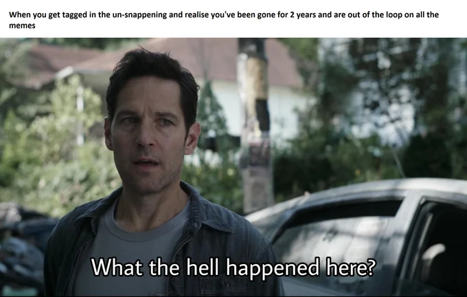Thanos Did Nothing Wrong — Ant-Man asking What the hell happened here as an un-snapping meme reaction