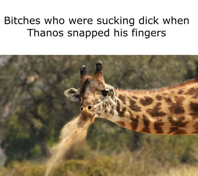 Thanos Snap — Humorous meme using giraffe reaction image to snap scenario.