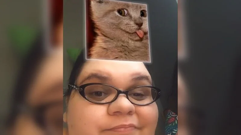 That Is Very Much Adequate — TikTok meme with cat head digitally placed over person's forehead wearing glasses.