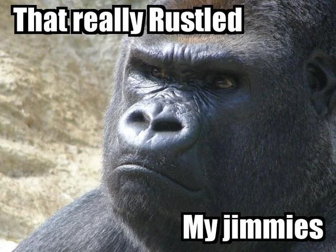 Serious-looking silverback gorilla with impact-font caption 'That really Rustled My jimmies.'