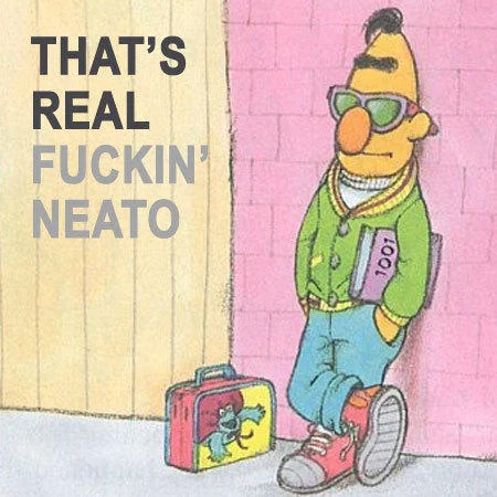 Cool Bert from Sesame Street leaning against a wall with 'That's Real Fuckin' Neato' caption