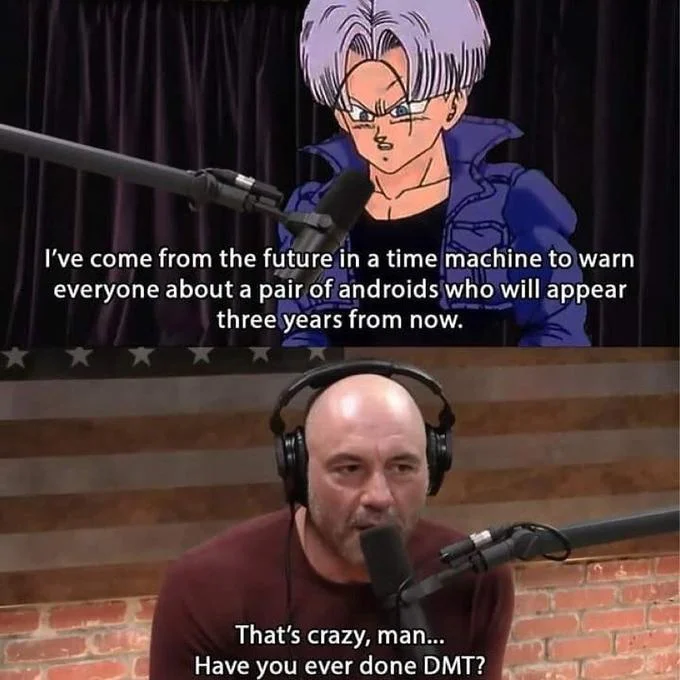 That's Crazy, Man. Have You Ever Done DMT? — Black t-shirt printed with 'That's crazy... have you ever tried DMT?'