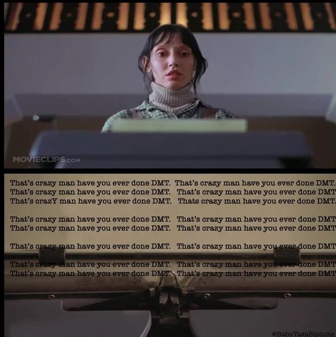 That's Crazy, Man. Have You Ever Done DMT? — Dragon Ball Z Future Trunks androids warning meets Joe Rogan DMT response
