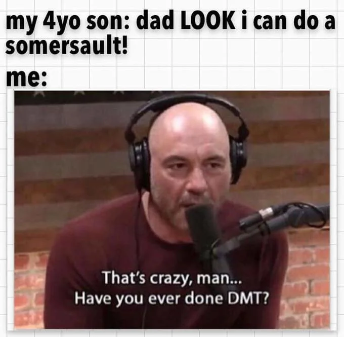 That's Crazy, Man. Have You Ever Done DMT? — Metal Gear Solid codec parody with Joe Rogan responding about DMT