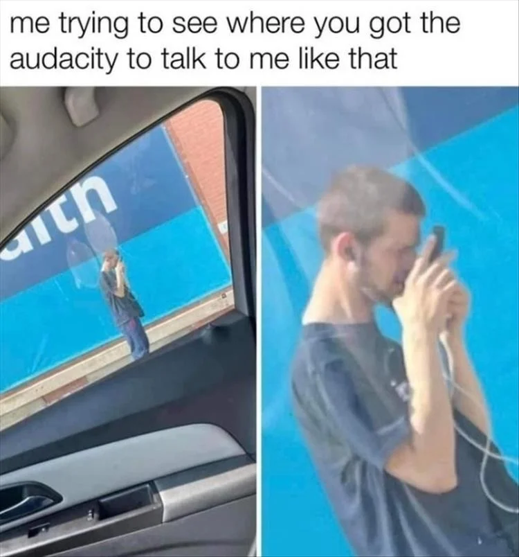 The Audacity — Split-screen meme showing shocked reaction through and outside car window.