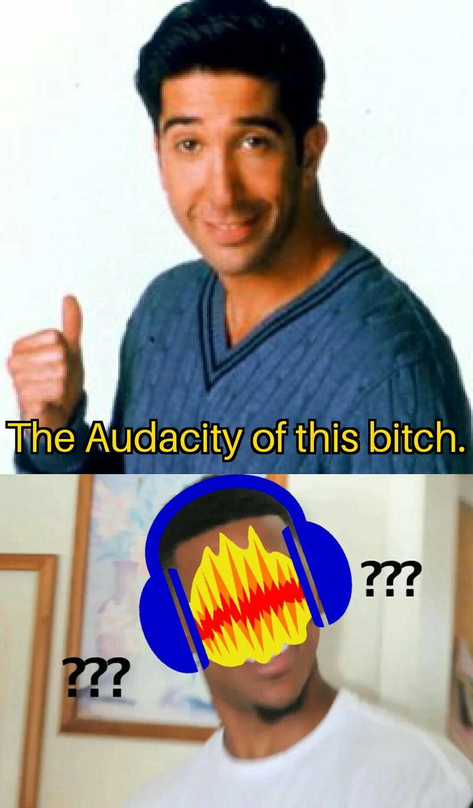 The Audacity — Two-panel meme with thumbs up and confused reaction about audacity.