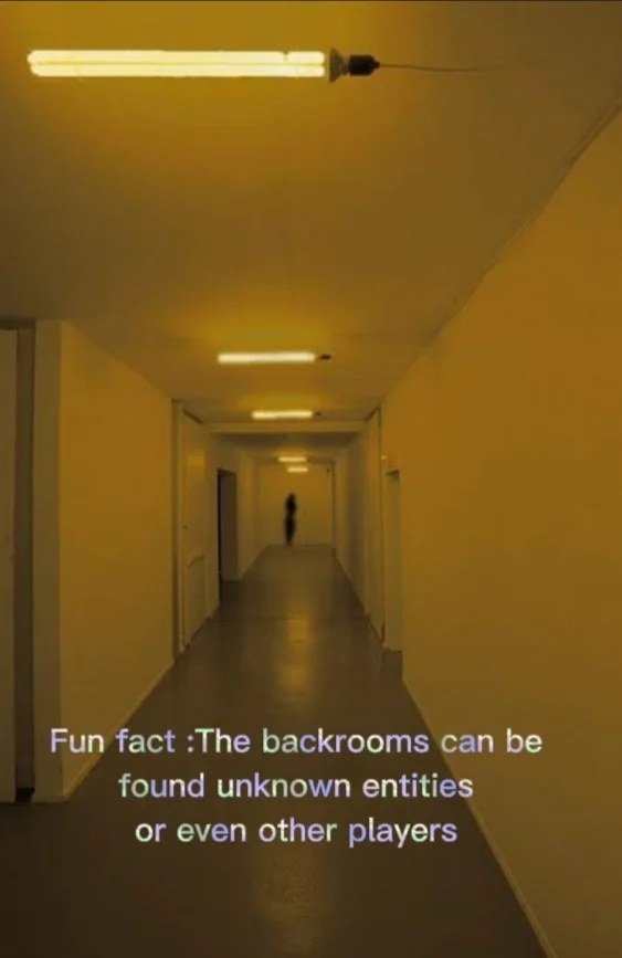 The Backrooms — Yellow fluorescent-lit institutional hallway with lone dark silhouette far in distance, captioned about unknown entities.