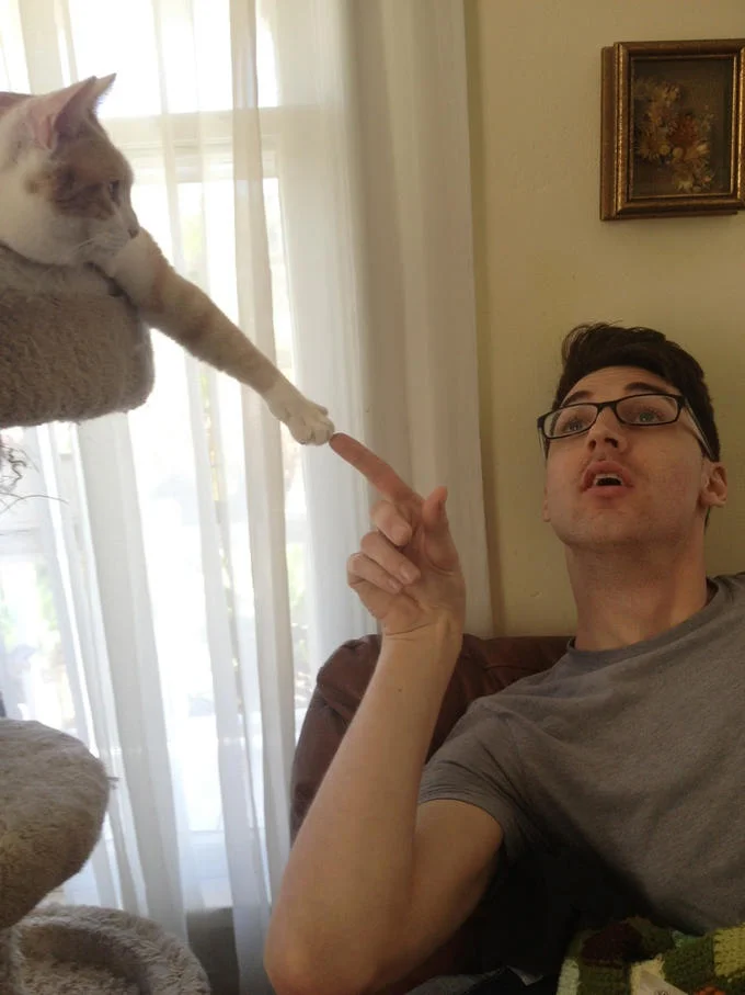 The Creation Of Adam Parodies — Candid photograph of cat and man recreating nearly-touching fingertips.