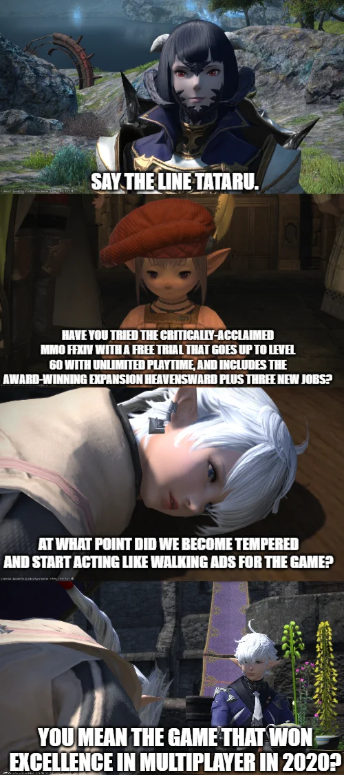 The Critically Acclaimed Mmorpg — A vertical collage of FF14 screenshots with text overlays delivering a meta-joke about FFXIV players.