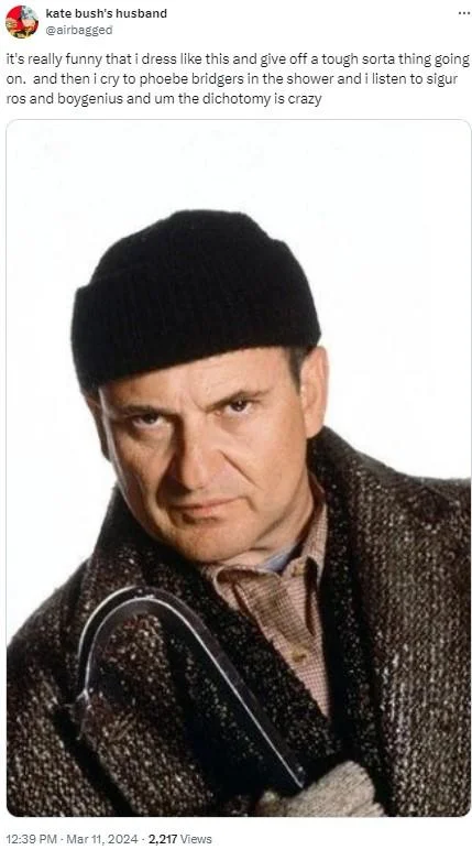 The Dichotomy Is Crazy — Tweet pairing Sam Wilmot quote with image of Joe Pesci's Harry from Home Alone in a black beanie.