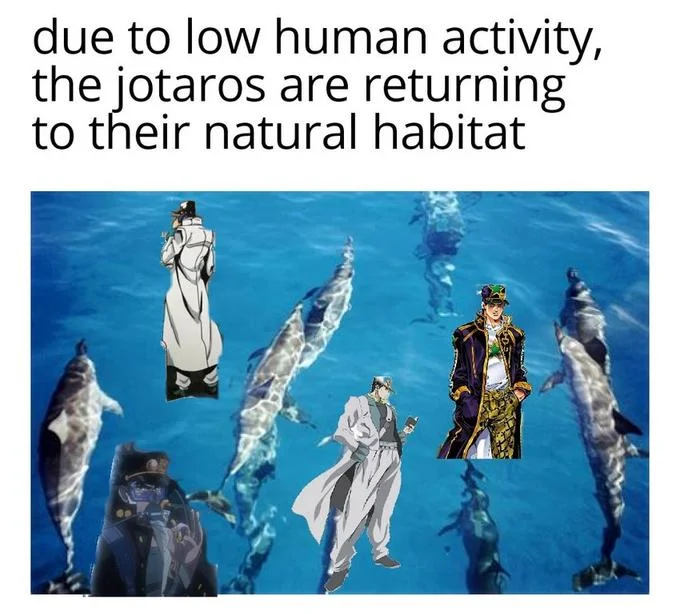 The Dolphins Have Returned to Italy — Meme with Jotaro characters from JoJo's Bizarre Adventure photoshopped onto dolphins underwater