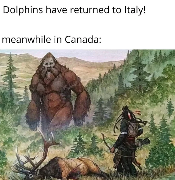 The Dolphins Have Returned to Italy — Meme with text about dolphins returning to Italy and illustration of a sasquatch meeting a hunter in Canada