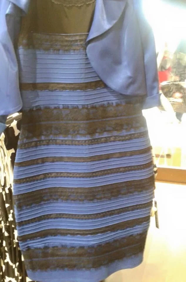 The Dress — The unmodified original photograph of the blue and black lace bodycon dress on a hanger in a retail store.