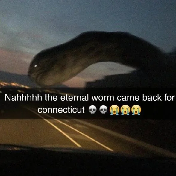 The Eternal Worm Came Back For Connecticut — Square-crop of the eternal worm meme showing the serpent over a highway with the Connecticut caption.