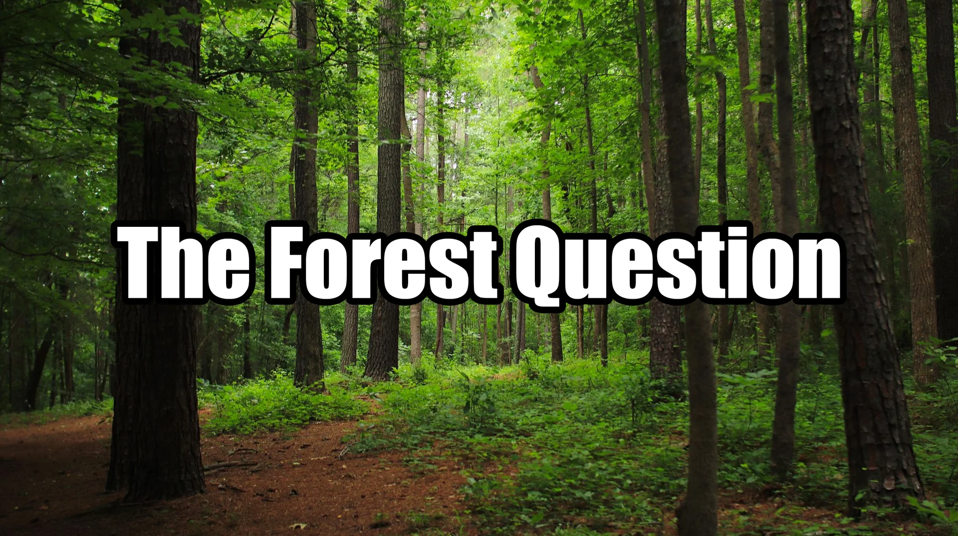 Forest scene with tall green trees and dirt path, overlaid with bold white text reading 'The Forest Question'