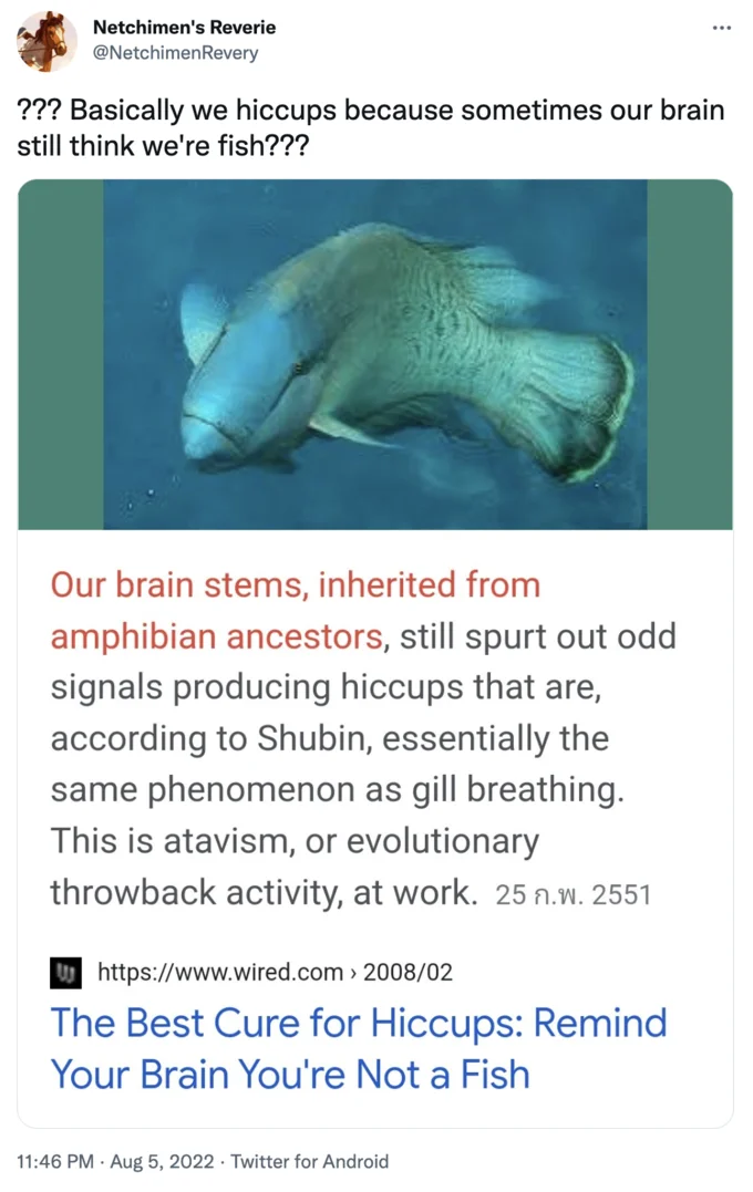 The I Am Not A Fish Hiccups Cure — Tweet linking a Wired article titled 'The Best Cure for Hiccups: Remind Your Brain You're Not a Fish'.