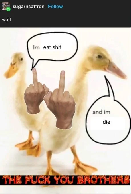 The Ipod Brothers The Fuck You Brothers Sniff And Whimper — Tumblr screenshot of the fuck you brothers meme variant with two-headed duckling captioned Im eat