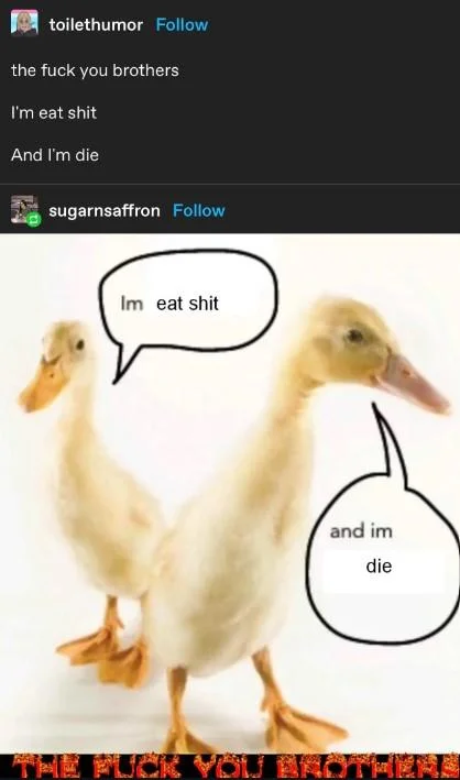The Ipod Brothers The Fuck You Brothers Sniff And Whimper — Cropped iPod Brothers duckling meme with speech bubbles Im VolumeUp and and im PlayButton
