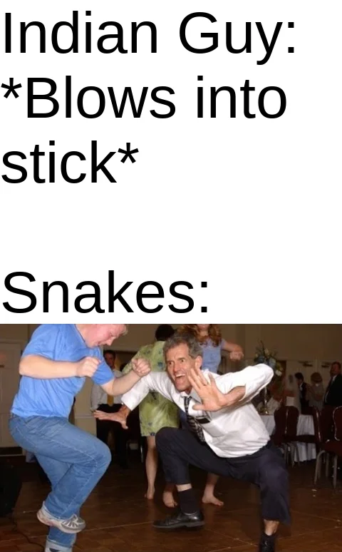 The Jig — Jig meme with 'Indian guy blows into stick, snakes:' caption above the dance photo.
