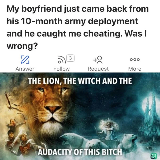 The Lion, The Witch, And The Audacity Of This Bitch — Online question about cheating on a deployed boyfriend paired with the Narnia audacity meme