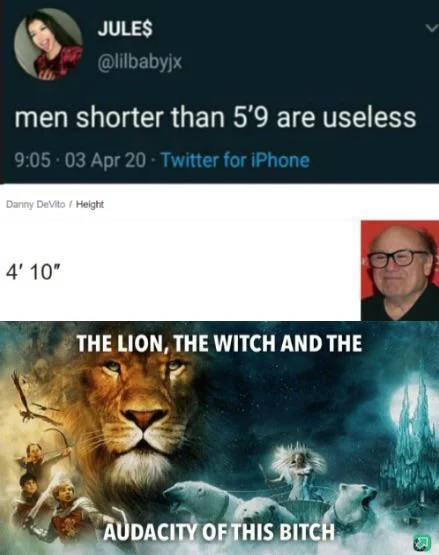 The Lion, The Witch, And The Audacity Of This Bitch — Tweet about short men paired with Danny DeVito's height and the Narnia audacity meme