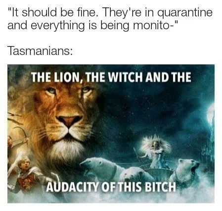 The Lion, The Witch, And The Audacity Of This Bitch — COVID quarantine joke about Tasmanians using the Narnia audacity meme