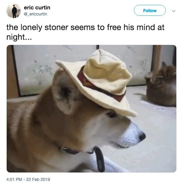 The Lonely Stoner Seems to Free His Mind at Night — Tweet with the lyric caption and photo of a Shiba Inu dog wearing a hat.
