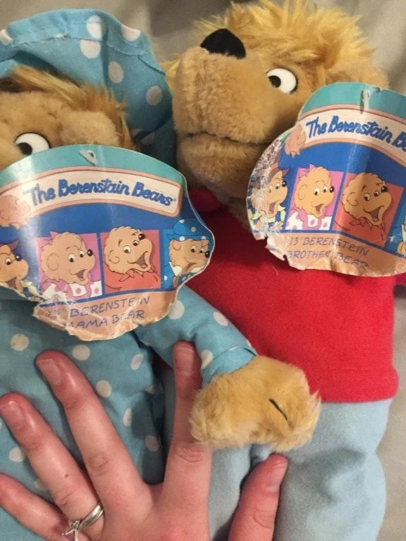 The Mandela Effect — Close-up photo of two Berenstain Bears stuffed animals with tags clearly showing the correct 'Berenstain' spelling.