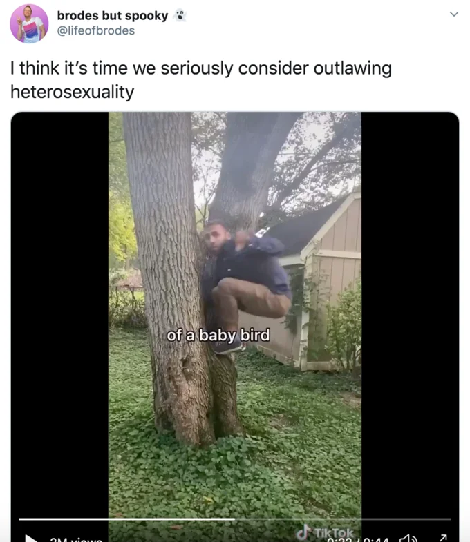 The Milk Is Its Dad And The Box Is The Mom — Tweet from @lifeofbrodes about outlawing heterosexuality quoting a TikTok of a person climbing a tree