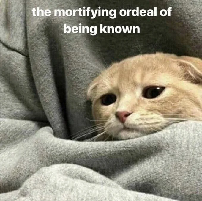 Sad orange cat wrapped in a gray blanket captioned 'the mortifying ordeal of being known'