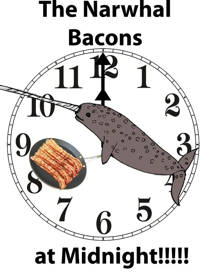 Cartoon narwhal with bacon on a clock face captioned The Narwhal Bacons at Midnight