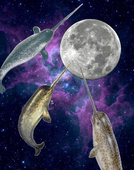 The Narwhal Bacons at Midnight — Three narwhals in space pointing their tusks at the moon
