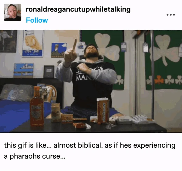 The Pharaohs Curse Curse Of Ra — Instagram post of a bearded man pointing skyward, captioned about looking biblical like a pharaoh's curse.