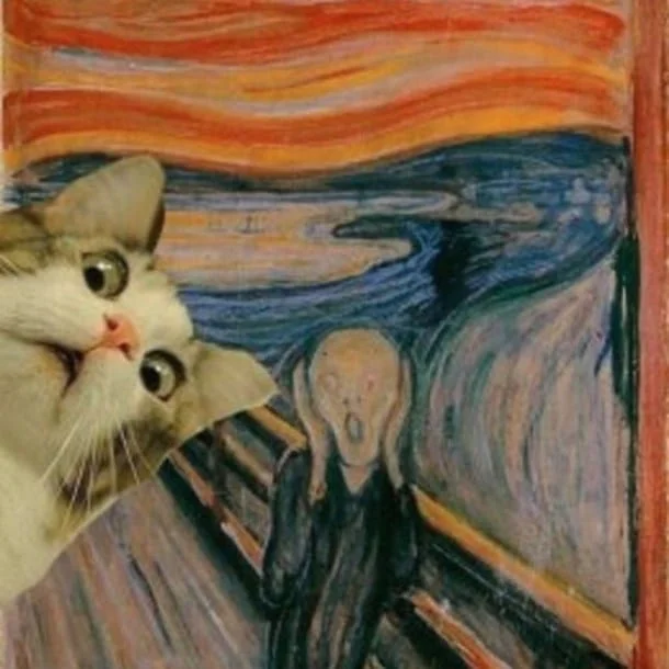 Mashup pairing closeup of shocked cat facial expression with Edvard Munch's The Scream painting, creating side-by-side reaction meme composition.