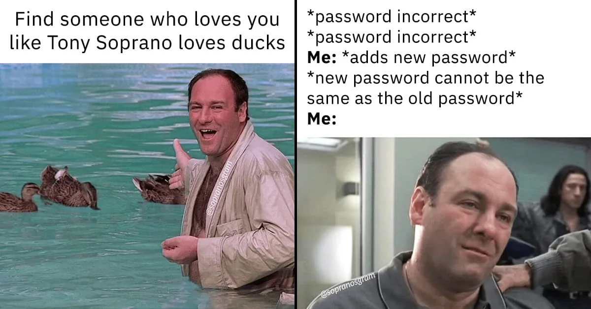 The Sopranos — Grid-format meme comparing Tony's affection for ducks in pool with password reset joke, highlighting his deep connection with ducks as major