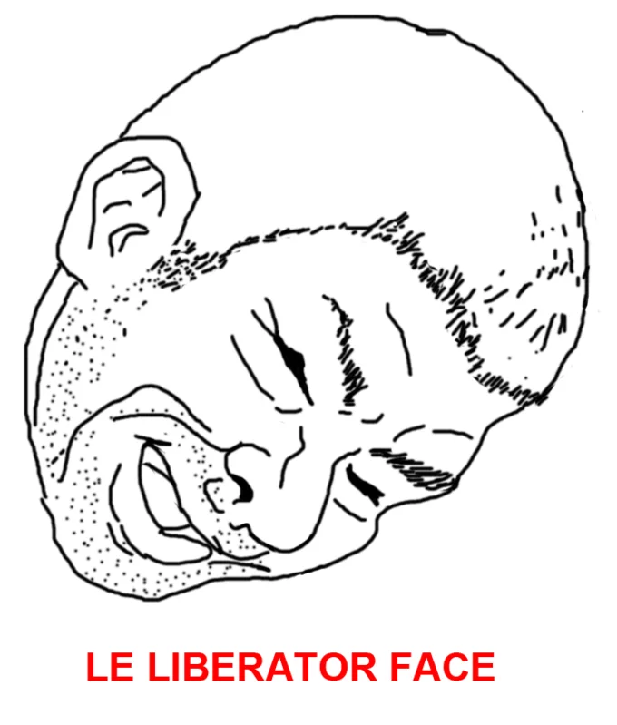 The Soviet Liberator Le Liberator Face — Line-drawn cartoon representation of the Soviet Liberator face with emphasis on exaggerated nose and lips.
