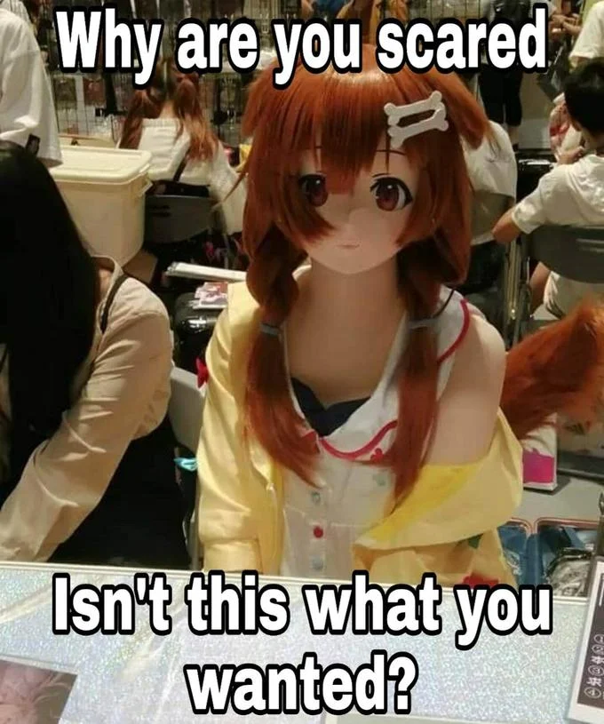 The Uncanny Valley — Person in anime-girl mask holding a plush with 'Why are you scared isn't this what you wanted?' caption