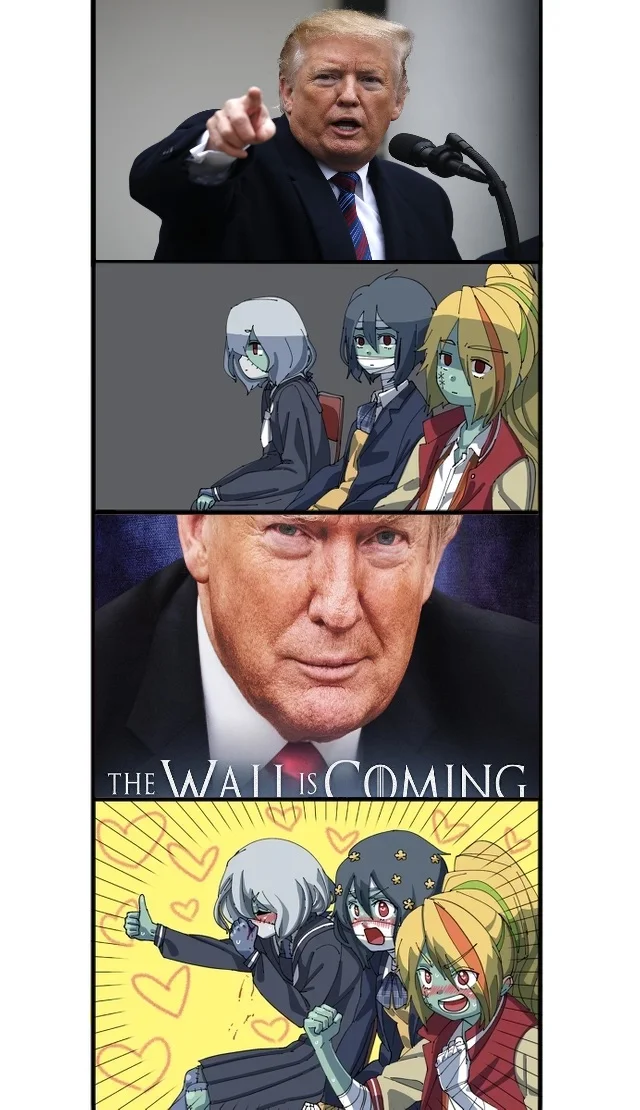The Wall Is Coming — Photoshopped Trump at cabinet table with Schumer 'Enough with the memes' printout