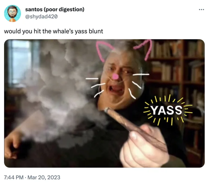 The Whale Passing a Blunt — Twitter screenshot featuring the Whale blunt image doodled with cat ears whiskers and a Yass starburst