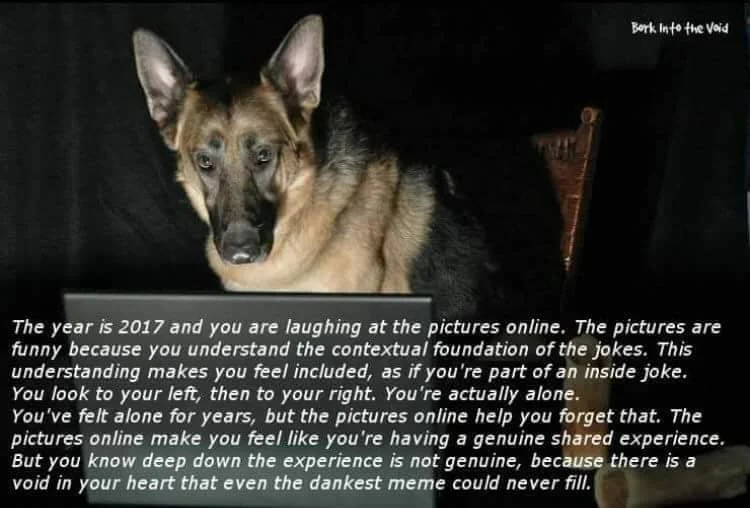 The Year Is 2016 And You Are Laughing At The Pictures Online — German shepherd sits in dark room facing laptop, with copypasta text about laughing at online