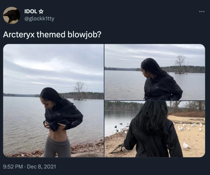Tweet asking 'Arcteryx themed blowjob?' with lakeside photos of a woman in a black Arc'teryx jacket.