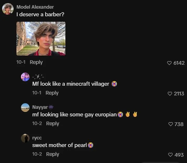 Then I Walk In — TikTok comment screenshot with the original selfie and mocking replies.