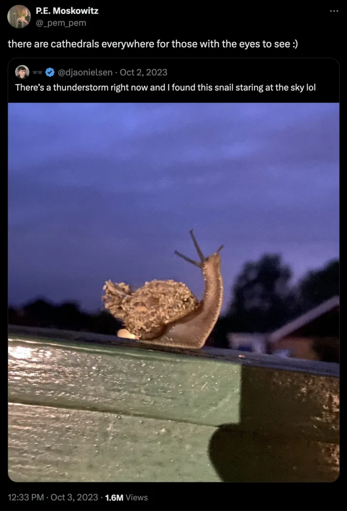 There Are Cathedrals Everywhere For Those With The Eyes To See — Twitter screenshot of a snail on a wooden railing looking at the sky during a thunderstorm