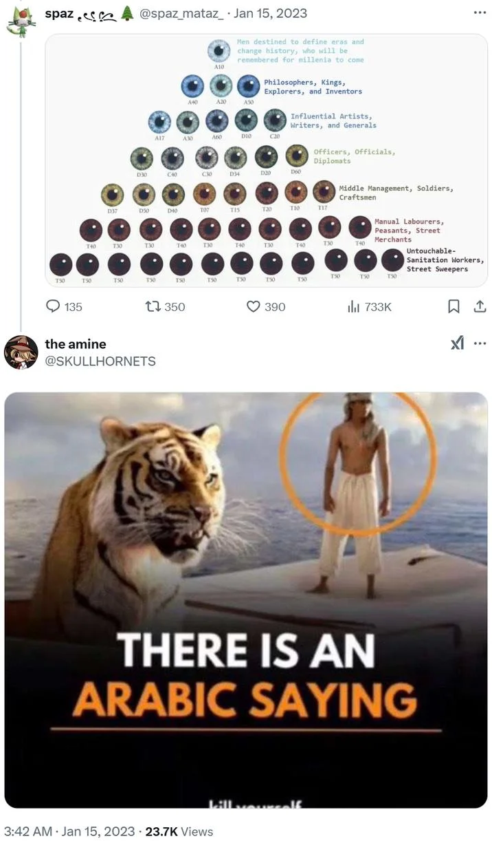 There Is An Arabic Saying — Twitter post with eye color chart and Arabic saying meme reply