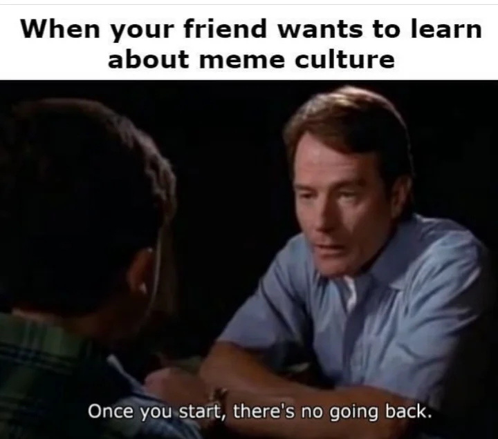 There Is No Leaving The Path — Meme using Malcolm in the Middle scene with top text about introducing a friend to meme culture and the caption 'Once you start