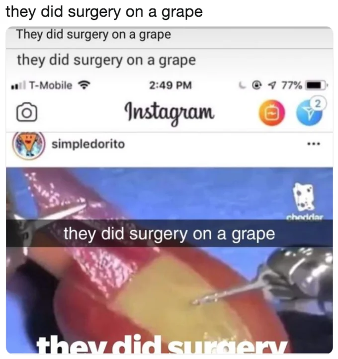 They Did Surgery on a Grape — Layered smartphone screenshot with the phrase appearing in notification, Snapchat, impact text, and Instagram caption.
