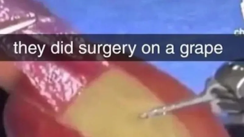 They Did Surgery on a Grape — Blurry video frame showing red grape being incised by robotic surgical tools with Snapchat caption.